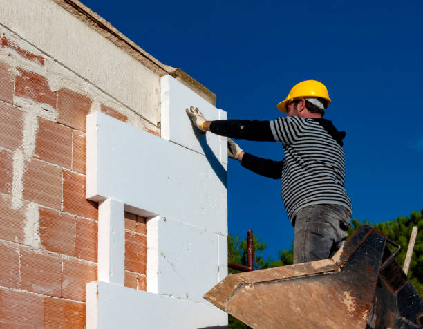 Best Eco-Friendly Insulation in Johnston, SC