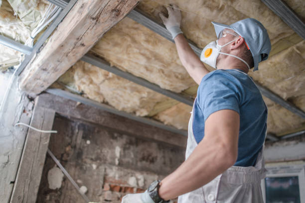 Best Blown-in Insulation in Johnston, SC