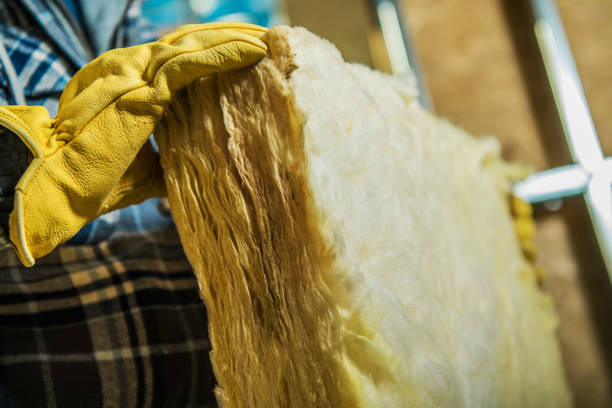 Best Commercial Insulation in Johnston, SC