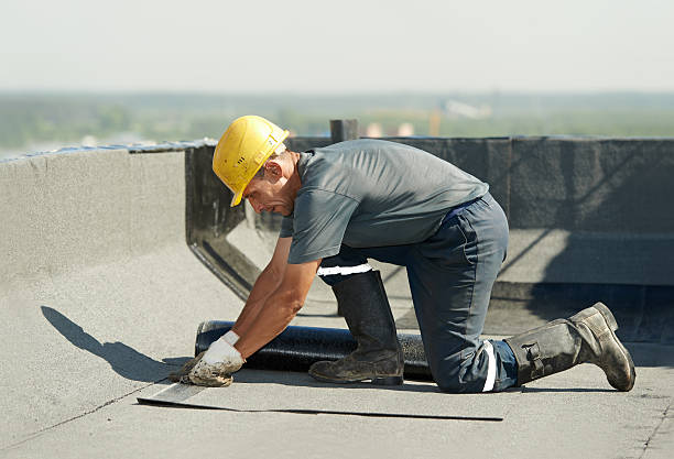 Best Geographic-Specific Insulation Services in Johnston, SC