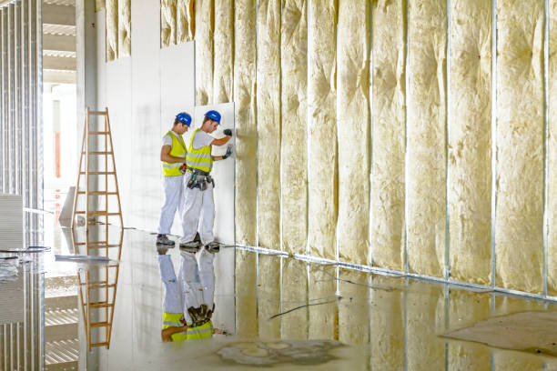 Best DIY Insulation Kits and Guidance in Johnston, SC